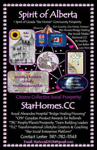 Star Homes* Star Social Enterprise Subscription